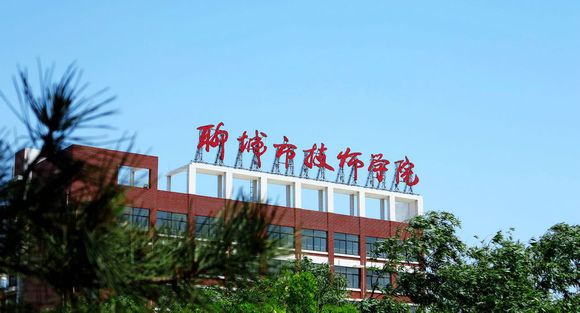 聊城市技師學院有計算機專業嗎？