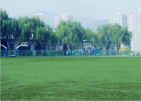 青島滿天星職業培訓學校怎么樣？