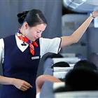 航空服務（票務、安檢方向）、航空乘務定向委培